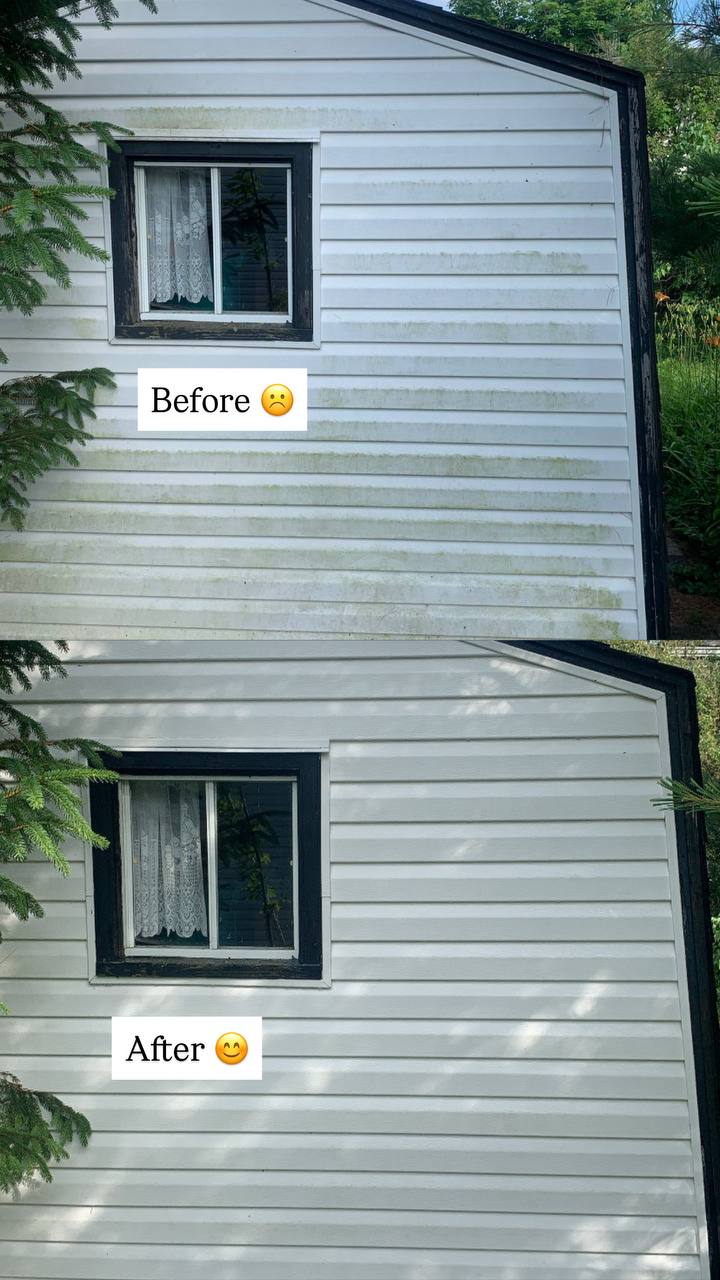 Siding Cleaning